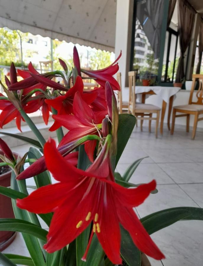 Hotel Rossi Vlorë Eksteriør billede